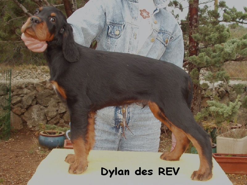 Dylan des Rieux en Valdaine